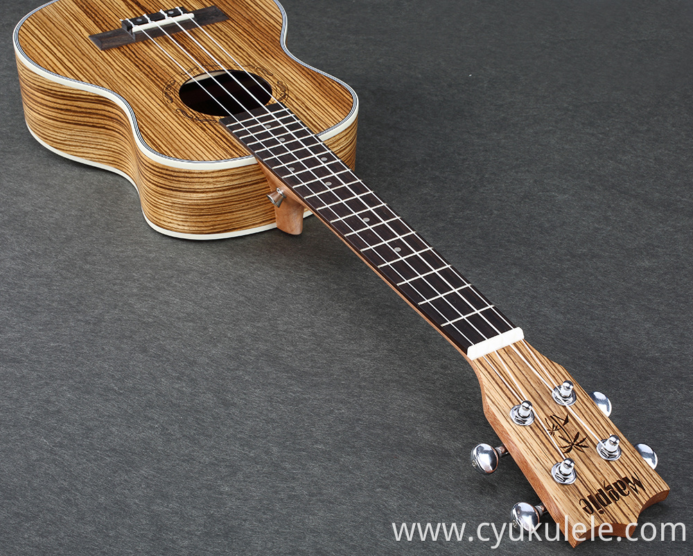 ukulele13 ukulele13
